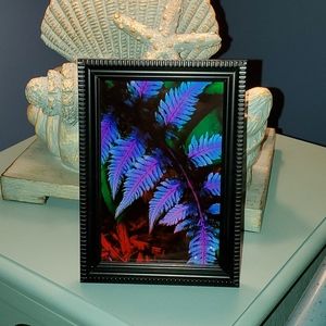 📷~Framed Photography Print~📷